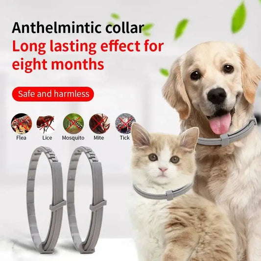 Nouveaux colliers pour chiens, colliers anti-puces et anti-tiques pour chats